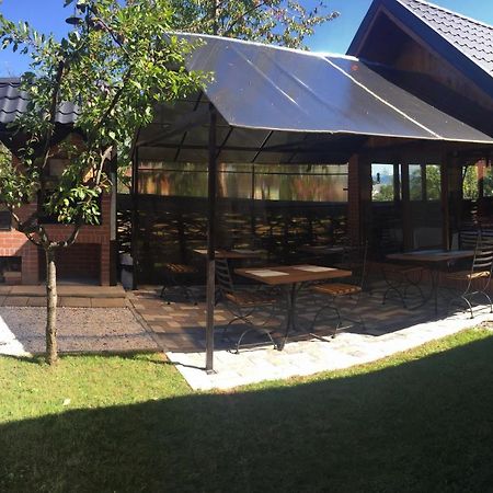 Ocna Şugatag Casa Alberta מראה חיצוני תמונה