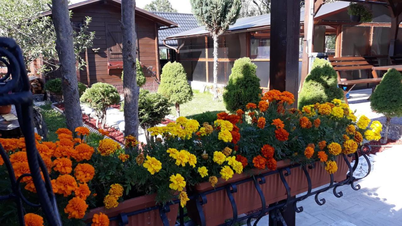 Ocna Şugatag Casa Alberta מראה חיצוני תמונה