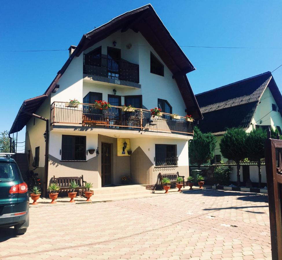 Ocna Şugatag Casa Alberta מראה חיצוני תמונה